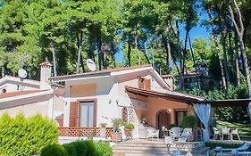 Naftilos Villa Sani With Private Pool